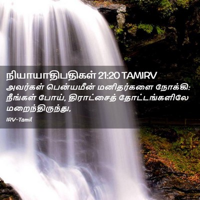 Picture 02 - நியாயாதிபதிகள் 21:20 TAMIRV - அவர்கள் பென்யமீன் - Bible Verse Picture