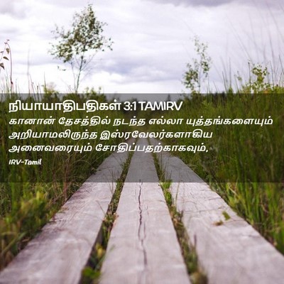 Picture 02 - நியாயாதிபதிகள் 3:1 TAMIRV - கானான் தேசத்தில் - Bible Verse Picture