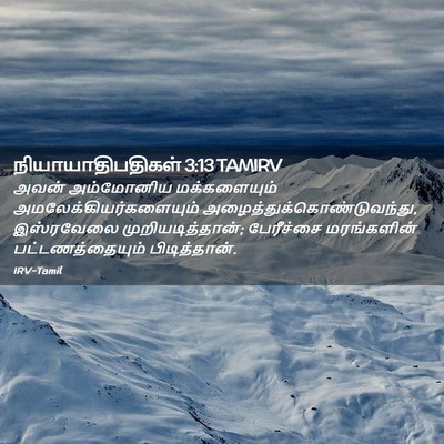Picture 02 - நியாயாதிபதிகள் 3:13 TAMIRV - அவன் அம்மோனிய - Bible Verse Picture