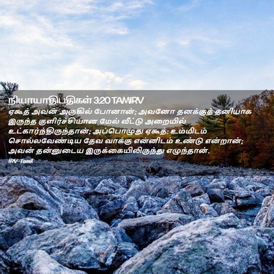 Picture 02 - நியாயாதிபதிகள் 3:20 TAMIRV - ஏகூத் அவன் - Bible Verse Picture