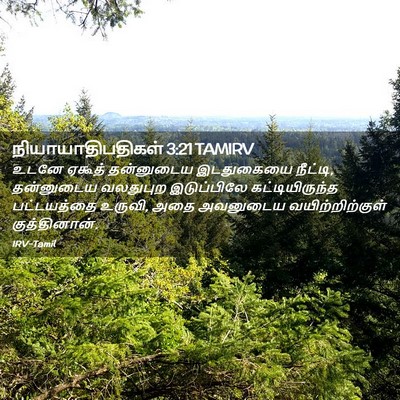 Picture 02 - நியாயாதிபதிகள் 3:21 TAMIRV - உடனே ஏகூத் - Bible Verse Picture