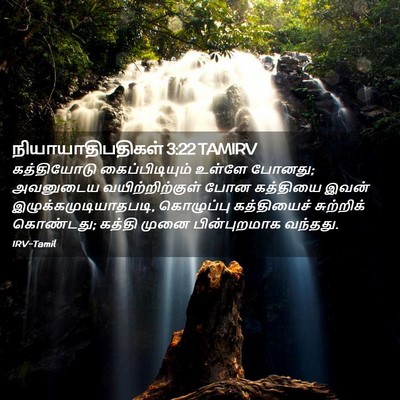Picture 02 - நியாயாதிபதிகள் 3:22 TAMIRV - கத்தியோடு - Bible Verse Picture