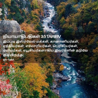 Picture 02 - நியாயாதிபதிகள் 3:5 TAMIRV - இப்படி இஸ்ரவேல் - Bible Verse Picture