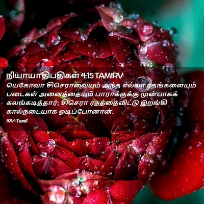 Picture 02 - நியாயாதிபதிகள் 4:15 TAMIRV - யெகோவா - Bible Verse Picture