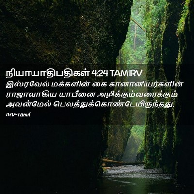 Picture 02 - நியாயாதிபதிகள் 4:24 TAMIRV - இஸ்ரவேல் மக்களின் - Bible Verse Picture