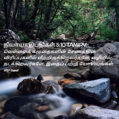 Picture 02 - நியாயாதிபதிகள் 5:10 TAMIRV - வெள்ளைக் - Bible Verse Picture