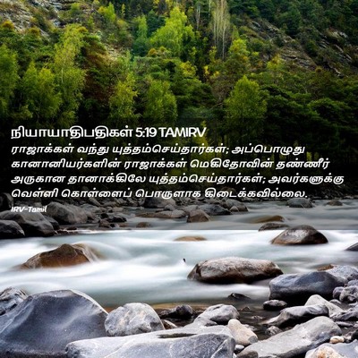 Picture 02 - நியாயாதிபதிகள் 5:19 TAMIRV - ராஜாக்கள் வந்து - Bible Verse Picture