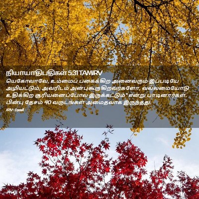 Picture 02 - நியாயாதிபதிகள் 5:31 TAMIRV - யெகோவாவே, உம்மைப் - Bible Verse Picture
