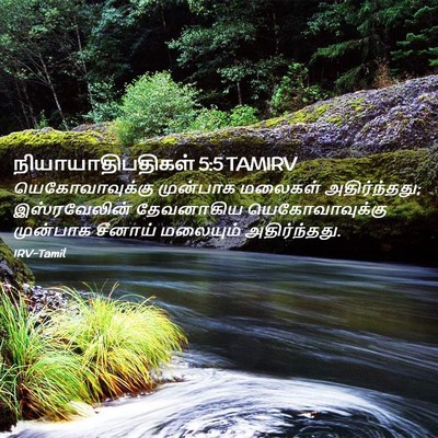 Picture 02 - நியாயாதிபதிகள் 5:5 TAMIRV - யெகோவாவுக்கு - Bible Verse Picture