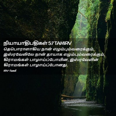 Picture 02 - நியாயாதிபதிகள் 5:7 TAMIRV - தெபொராளாகிய நான் - Bible Verse Picture