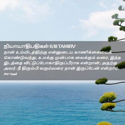 Picture 02 - நியாயாதிபதிகள் 6:18 TAMIRV - நான் - Bible Verse Picture
