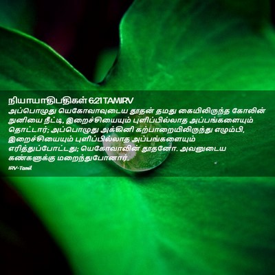 Picture 02 - நியாயாதிபதிகள் 6:21 TAMIRV - அப்பொழுது - Bible Verse Picture
