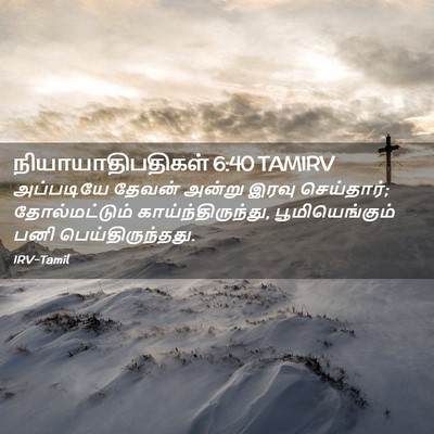 Picture 02 - நியாயாதிபதிகள் 6:40 TAMIRV - அப்படியே தேவன் - Bible Verse Picture
