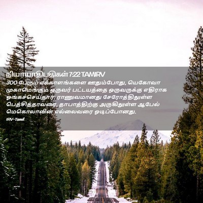 Picture 02 - நியாயாதிபதிகள் 7:22 TAMIRV - 300 பேரும் - Bible Verse Picture