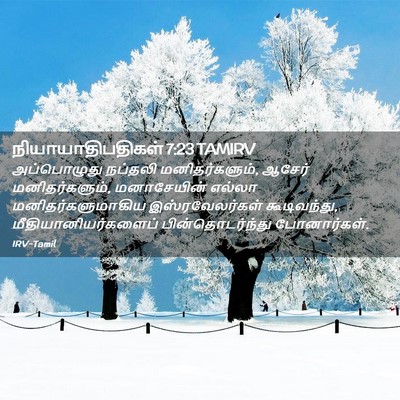 Picture 02 - நியாயாதிபதிகள் 7:23 TAMIRV - அப்பொழுது நப்தலி - Bible Verse Picture