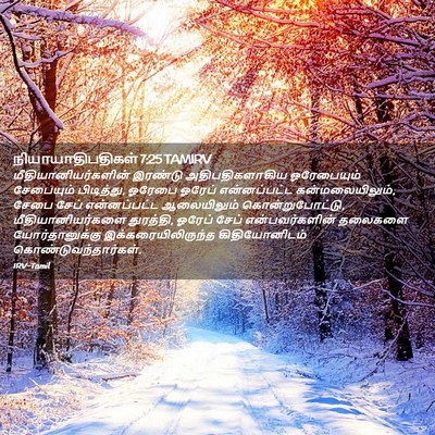 Picture 02 - நியாயாதிபதிகள் 7:25 TAMIRV - மீதியானியர்களின் - Bible Verse Picture