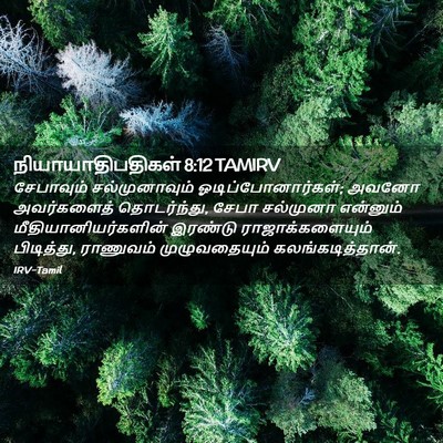Picture 02 - நியாயாதிபதிகள் 8:12 TAMIRV - சேபாவும் - Bible Verse Picture