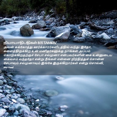 Picture 02 - நியாயாதிபதிகள் 8:15 TAMIRV - அவன் சுக்கோத்து - Bible Verse Picture