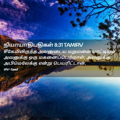 Picture 02 - நியாயாதிபதிகள் 8:31 TAMIRV - சீகேமிலிருந்த - Bible Verse Picture