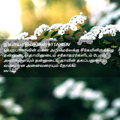 Picture 02 - நியாயாதிபதிகள் 9:1 TAMIRV - யெருபாகாலின் மகன் - Bible Verse Picture