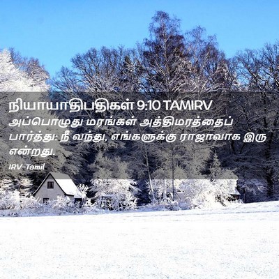 Picture 02 - நியாயாதிபதிகள் 9:10 TAMIRV - அப்பொழுது மரங்கள் - Bible Verse Picture