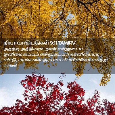 Picture 02 - நியாயாதிபதிகள் 9:11 TAMIRV - அதற்கு அத்திமரம்: - Bible Verse Picture