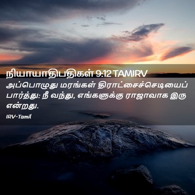 Picture 02 - நியாயாதிபதிகள் 9:12 TAMIRV - அப்பொழுது மரங்கள் - Bible Verse Picture