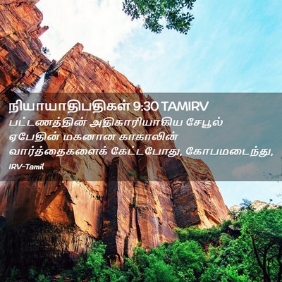 Picture 02 - நியாயாதிபதிகள் 9:30 TAMIRV - பட்டணத்தின் - Bible Verse Picture