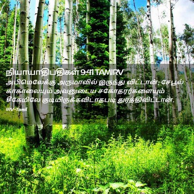 Picture 02 - நியாயாதிபதிகள் 9:41 TAMIRV - அபிமெலேக்கு - Bible Verse Picture