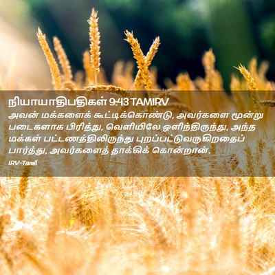 Picture 02 - நியாயாதிபதிகள் 9:43 TAMIRV - அவன் மக்களைக் - Bible Verse Picture