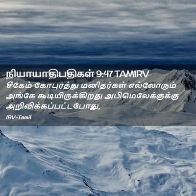Picture 02 - நியாயாதிபதிகள் 9:47 TAMIRV - சீகேம் கோபுரத்து - Bible Verse Picture