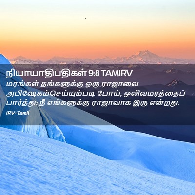 Picture 02 - நியாயாதிபதிகள் 9:8 TAMIRV - மரங்கள் - Bible Verse Picture