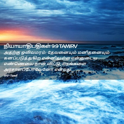 Picture 02 - நியாயாதிபதிகள் 9:9 TAMIRV - அதற்கு ஒலிவமரம்: - Bible Verse Picture