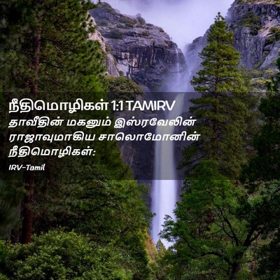 Picture 02 - நீதிமொழிகள் 1:1 TAMIRV - தாவீதின் மகனும் - Bible Verse Picture