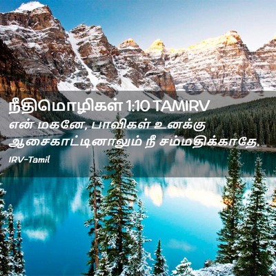 Picture 02 - நீதிமொழிகள் 1:10 TAMIRV - என் மகனே, பாவிகள் - Bible Verse Picture