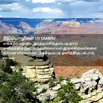 Picture 02 - நீதிமொழிகள் 1:11 TAMIRV - எங்களோடு வா, - Bible Verse Picture