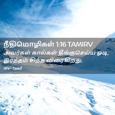 Picture 02 - நீதிமொழிகள் 1:16 TAMIRV - அவர்கள் கால்கள் - Bible Verse Picture