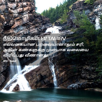 Picture 02 - நீதிமொழிகள் 1:17 TAMIRV - எவ்வகையான - Bible Verse Picture