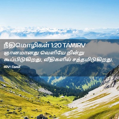 Picture 02 - நீதிமொழிகள் 1:20 TAMIRV - ஞானமானது வெளியே - Bible Verse Picture
