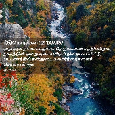 Picture 02 - நீதிமொழிகள் 1:21 TAMIRV - அது ஆள் - Bible Verse Picture