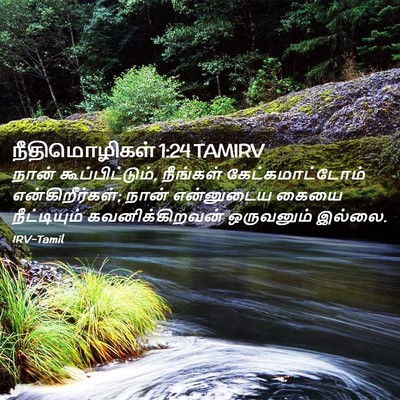 Picture 02 - நீதிமொழிகள் 1:24 TAMIRV - நான் - Bible Verse Picture