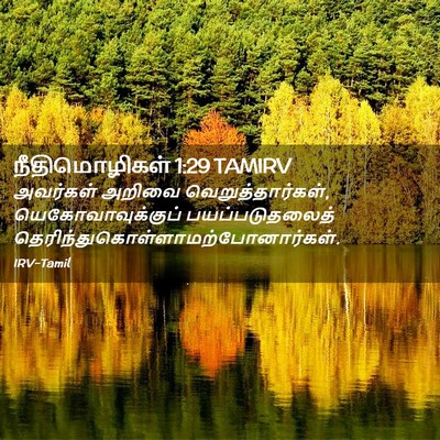 Picture 02 - நீதிமொழிகள் 1:29 TAMIRV - அவர்கள் அறிவை - Bible Verse Picture