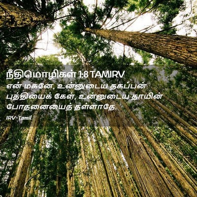 Picture 02 - நீதிமொழிகள் 1:8 TAMIRV - என் மகனே, உன்னுடைய - Bible Verse Picture