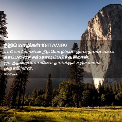 Picture 02 - நீதிமொழிகள் 10:1 TAMIRV - சாலொமோனின் - Bible Verse Picture