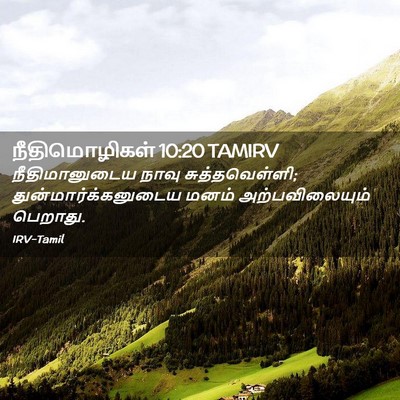 Picture 02 - நீதிமொழிகள் 10:20 TAMIRV - நீதிமானுடைய நாவு - Bible Verse Picture