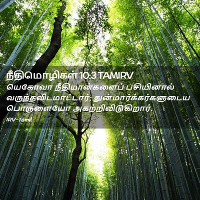 Picture 02 - நீதிமொழிகள் 10:3 TAMIRV - யெகோவா - Bible Verse Picture