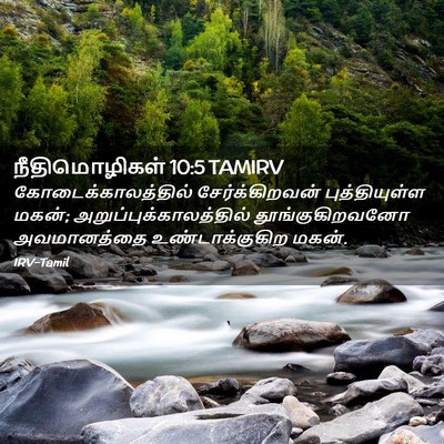 Picture 02 - நீதிமொழிகள் 10:5 TAMIRV - கோடைக்காலத்தில் - Bible Verse Picture