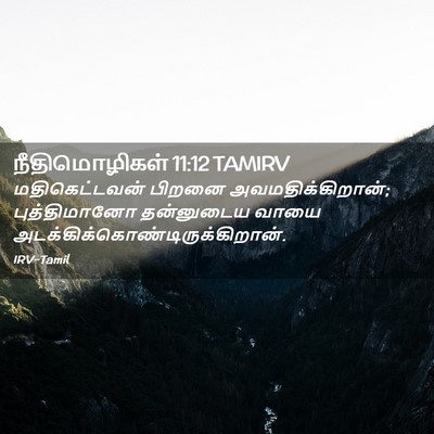 Picture 02 - நீதிமொழிகள் 11:12 TAMIRV - மதிகெட்டவன் பிறனை - Bible Verse Picture