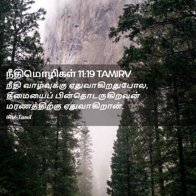 Picture 02 - நீதிமொழிகள் 11:19 TAMIRV - நீதி வாழ்வுக்கு - Bible Verse Picture