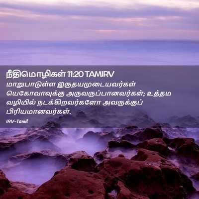 Picture 02 - நீதிமொழிகள் 11:20 TAMIRV - மாறுபாடுள்ள - Bible Verse Picture
